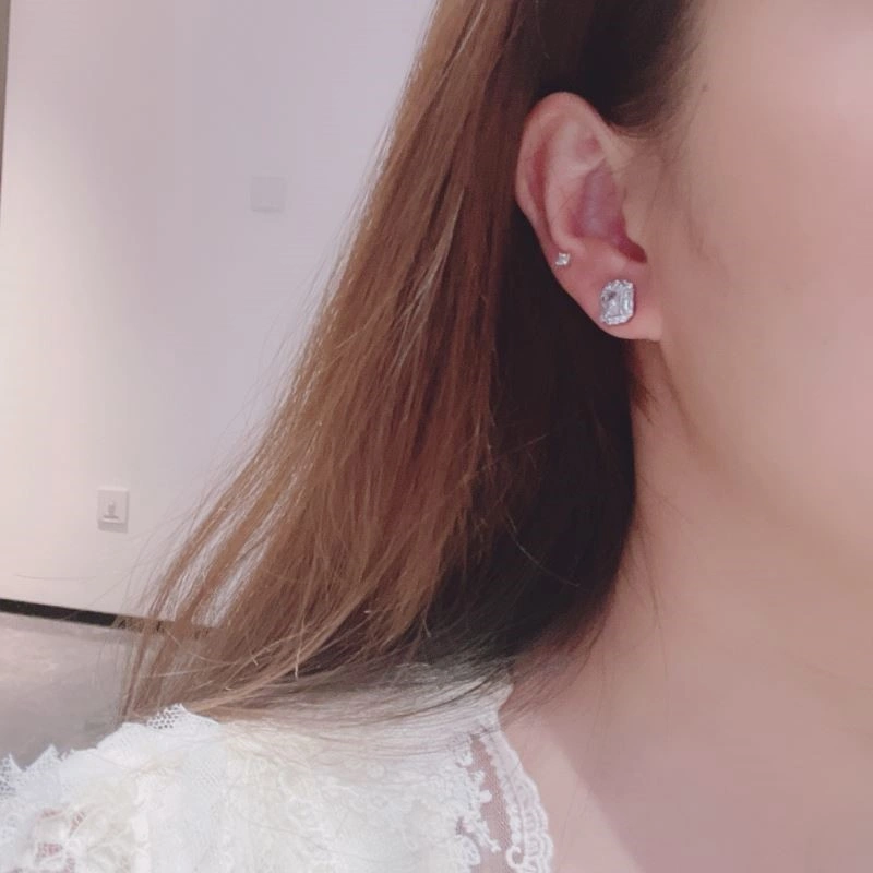 SmoothTexture Harry Winston Earrings 209256