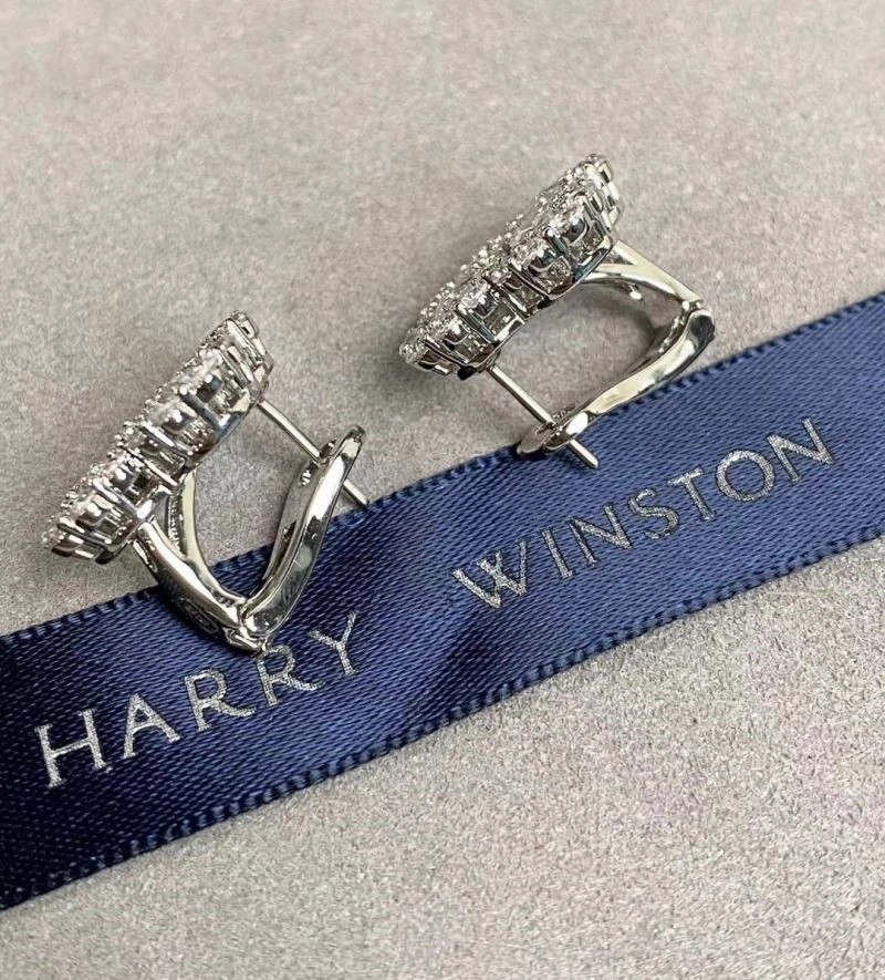 Practical Harry Winston Earrings 209243