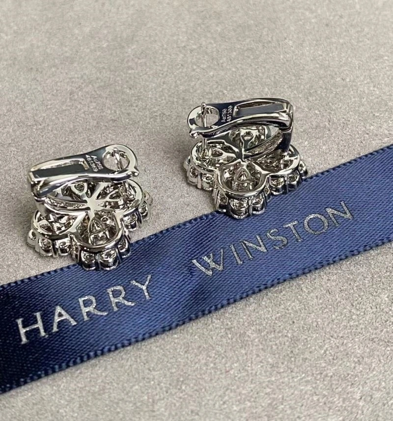 Practical Harry Winston Earrings 209243