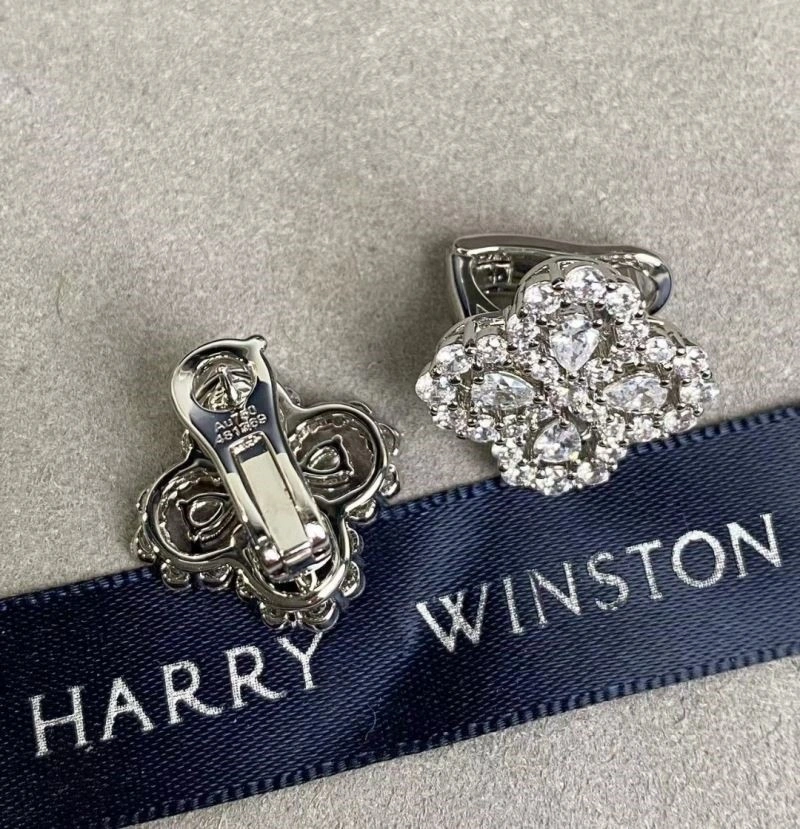 Practical Harry Winston Earrings 209243