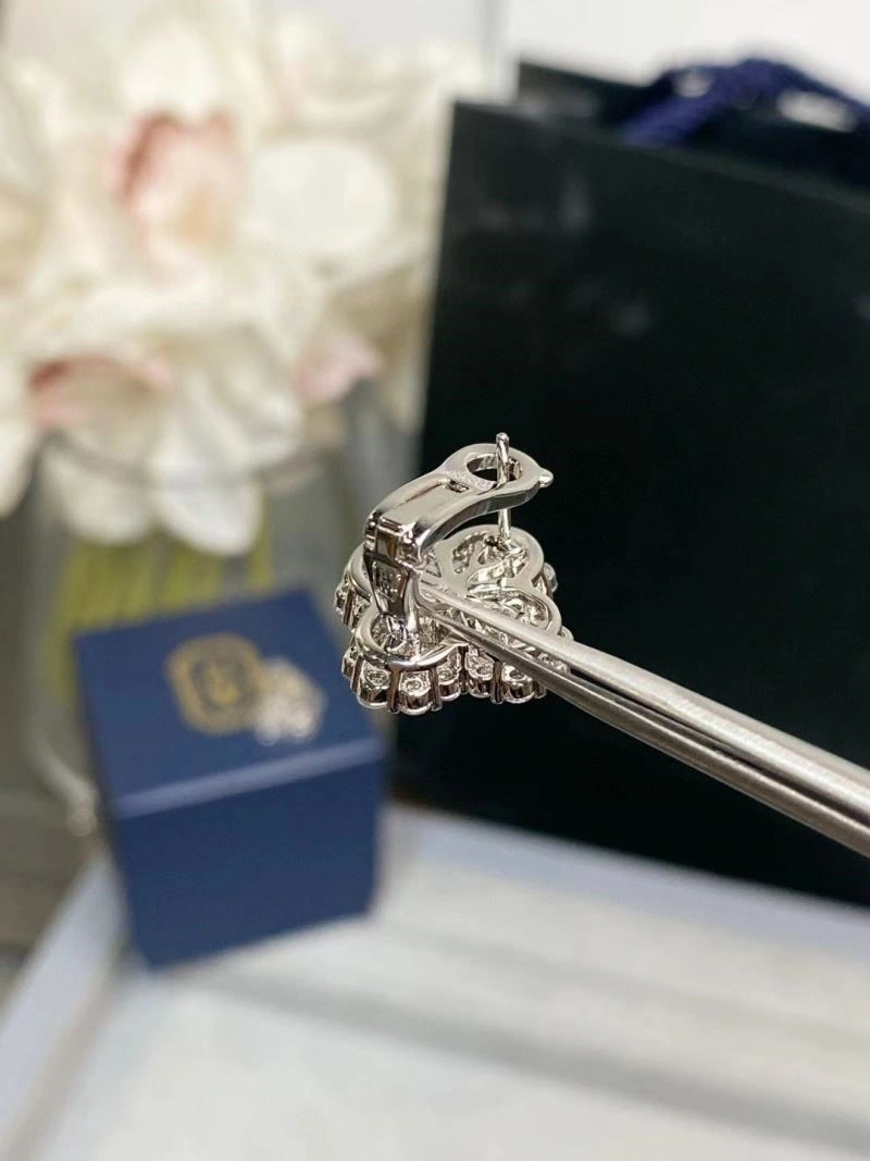 Practical Harry Winston Earrings 209243