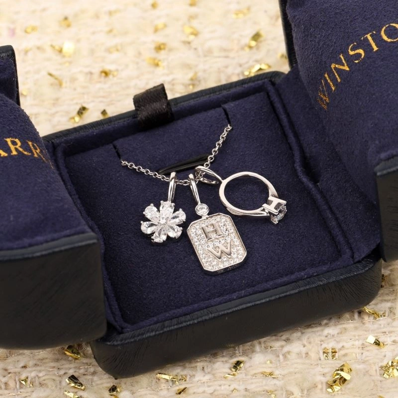 Harry Winston Necklaces Bold 213448