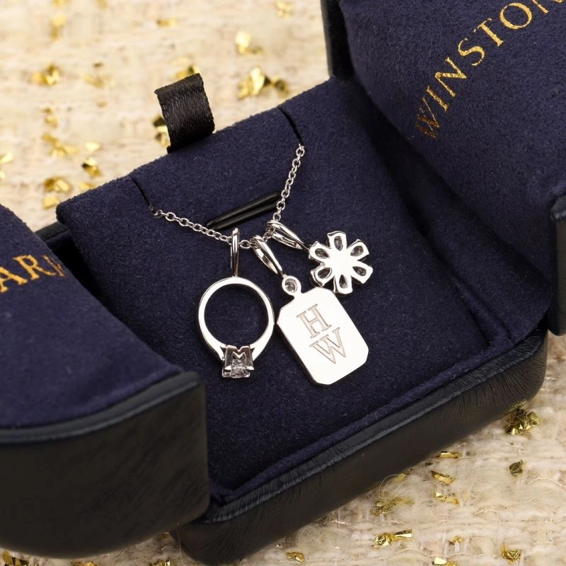 Harry Winston Necklaces Bold 213448