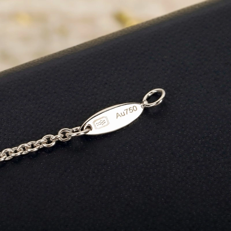 Harry Winston Necklaces FastDry 207934