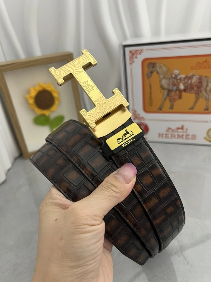 Chic Hermes Belts 295005