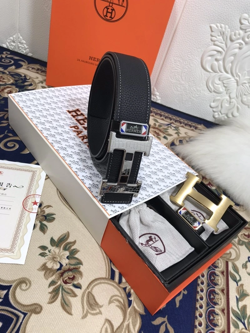 DailyWear Hermes Belts 296098