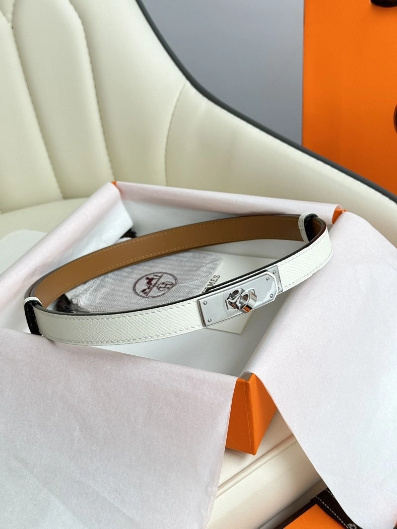 TechFriendly Hermes Belts 296010