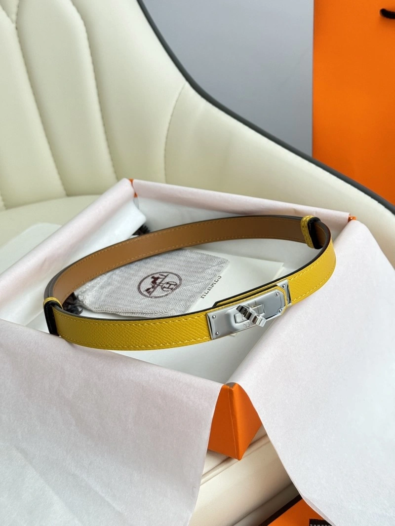 Hermes Belts EasyCare 296029