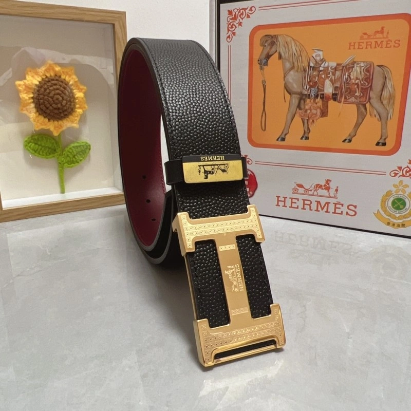 DailyWear Hermes Belts 295318