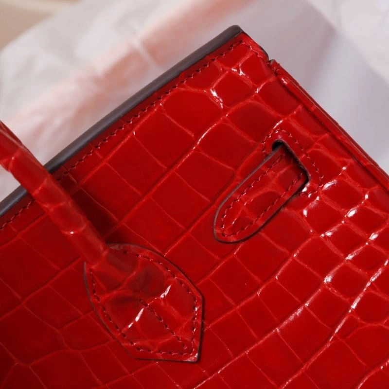 Hermes Birkin Bags Youthful 90336