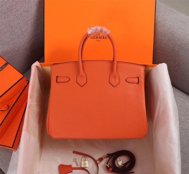 Hermes Birkin Bags Snug 89637