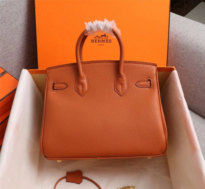 Hermes Birkin Bags Sustainable 89645