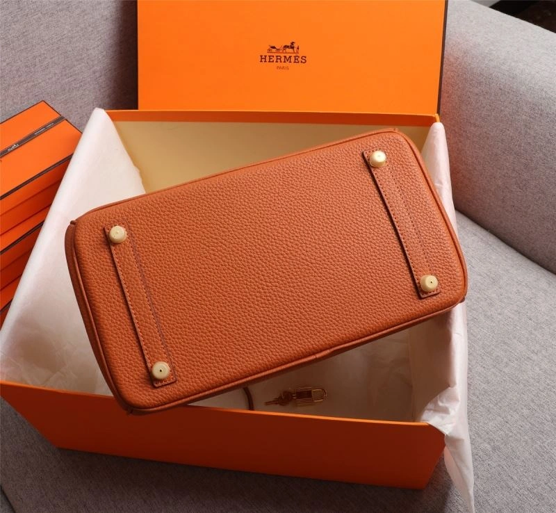 Hermes Birkin Bags Sustainable 89645