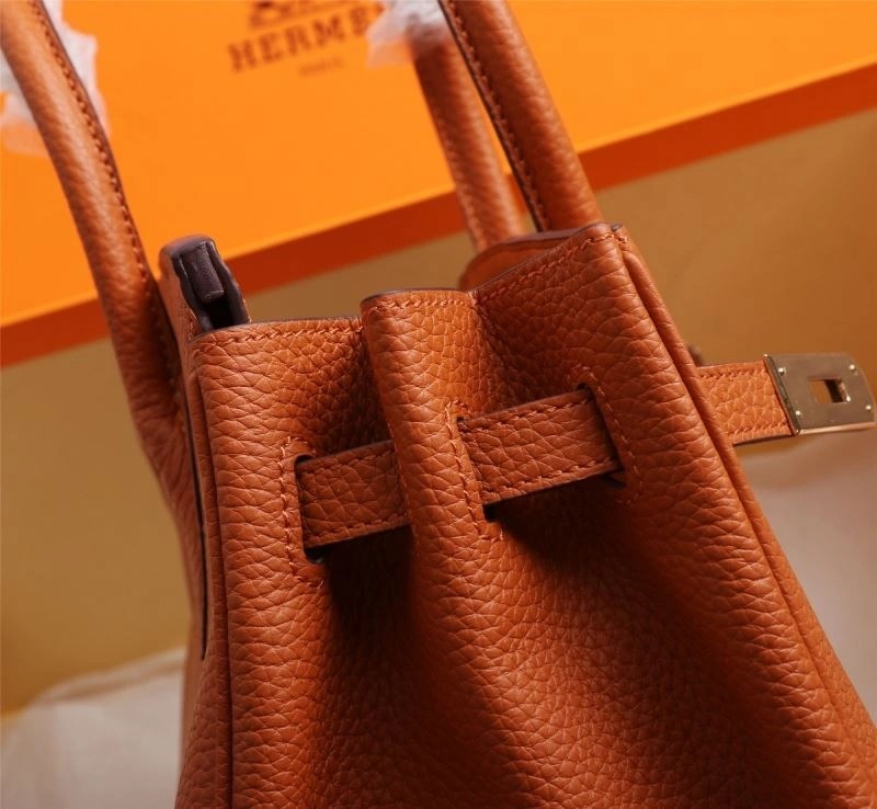Hermes Birkin Bags Sustainable 89645