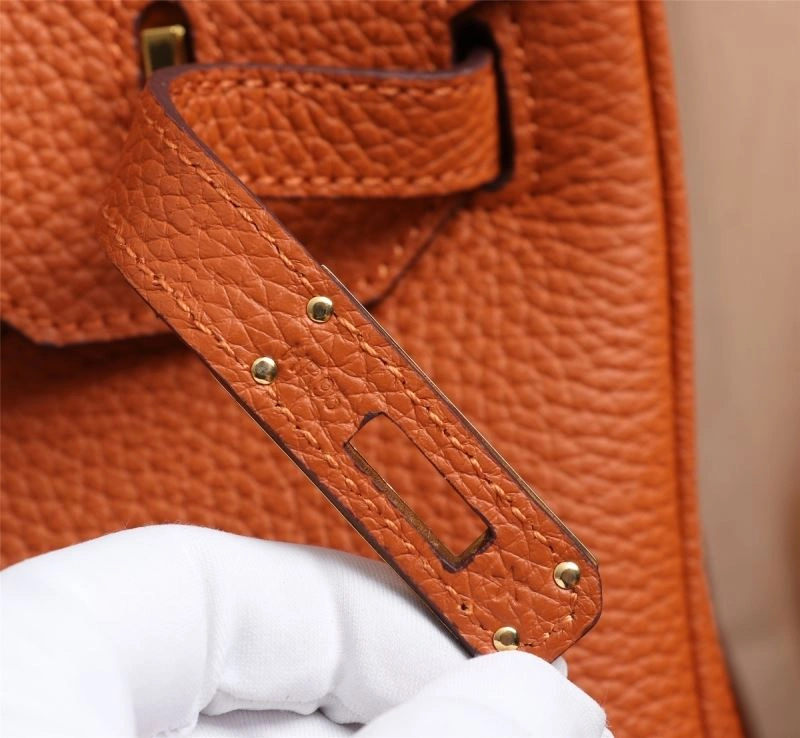 Hermes Birkin Bags Sustainable 89645