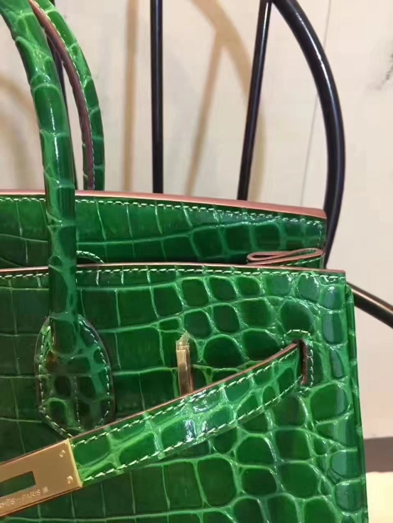 WaterResistant Hermes Birkin Bags 89630