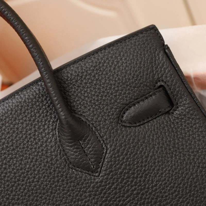 Bold Hermes Birkin Bags 89608