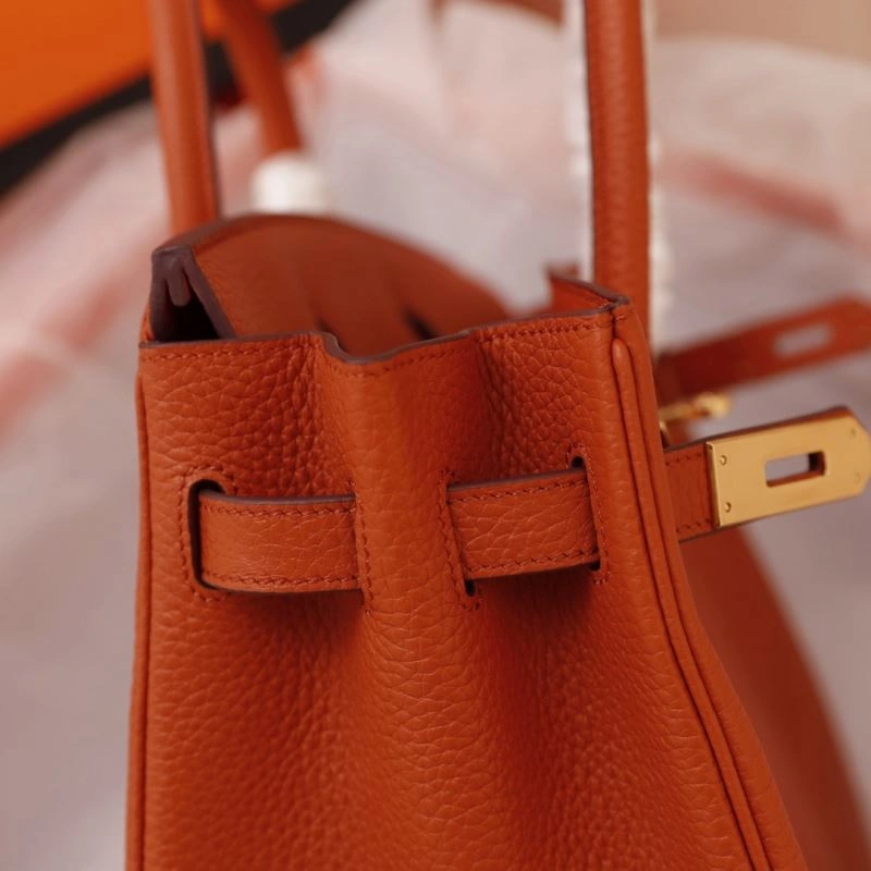 Hermes Birkin Bags SoftTouch 89561