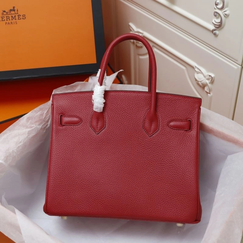 Trendsetting Hermes Birkin Bags 89562