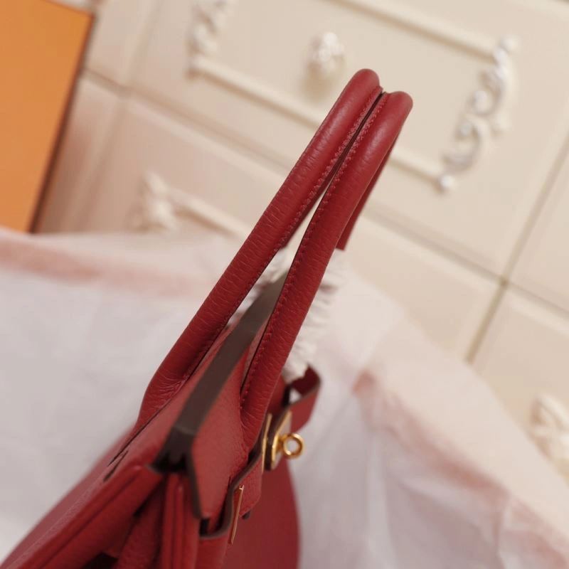 Trendsetting Hermes Birkin Bags 89562