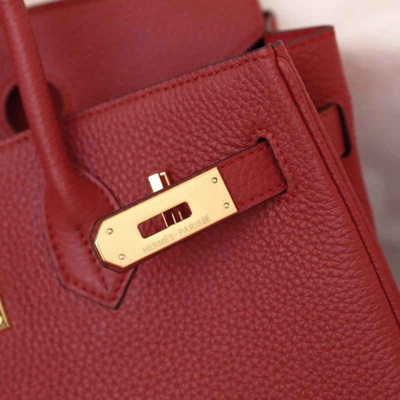 Trendsetting Hermes Birkin Bags 89562