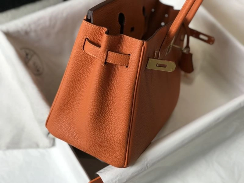 Youthful Hermes Birkin Bags 76889