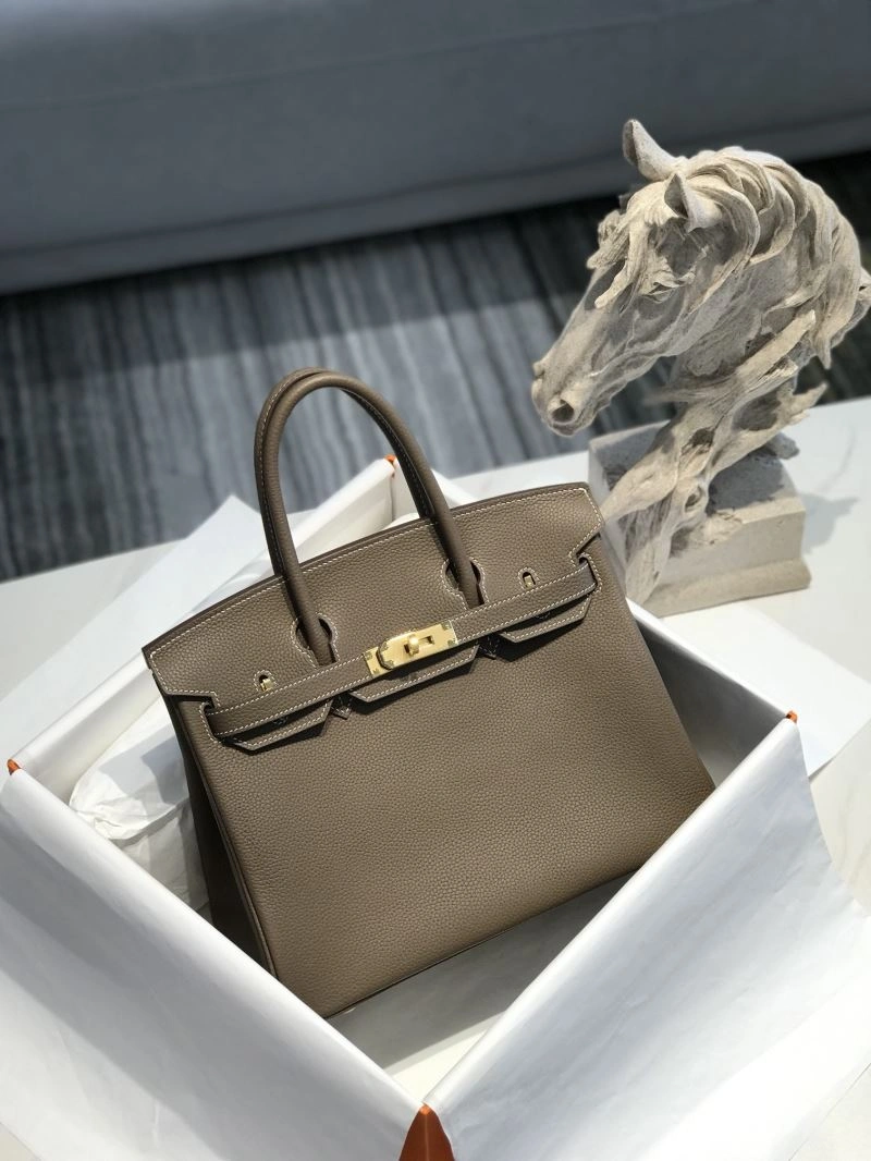Hermes Birkin Bags WaterResistant 64446