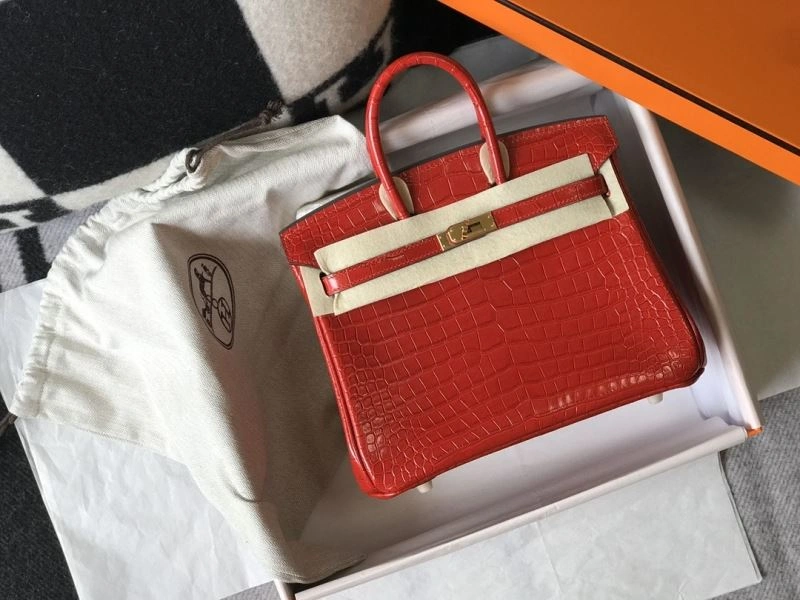Hermes Birkin Bags Cozy 64436