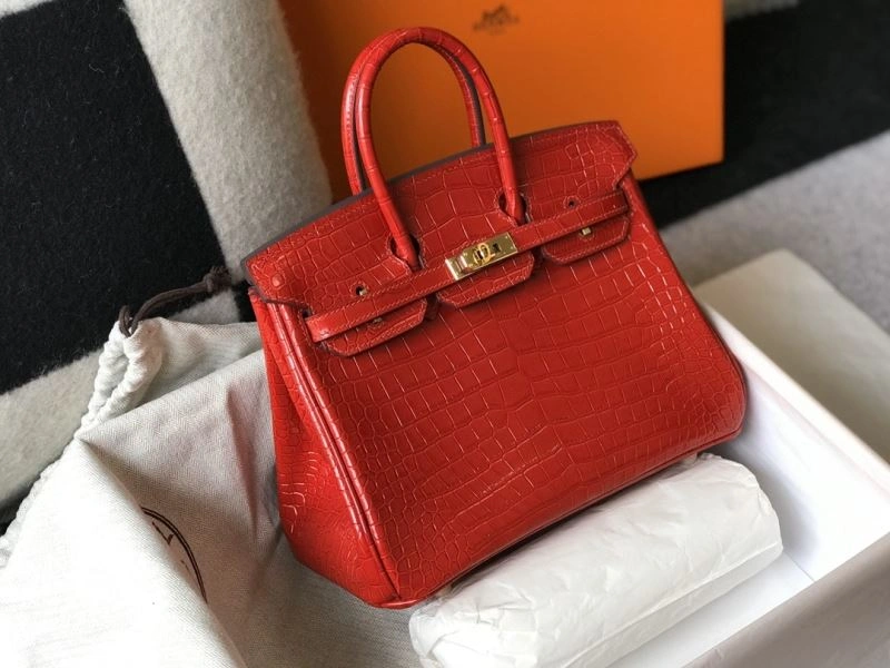 Hermes Birkin Bags Cozy 64436