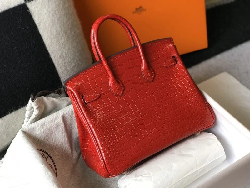 Hermes Birkin Bags Cozy 64436
