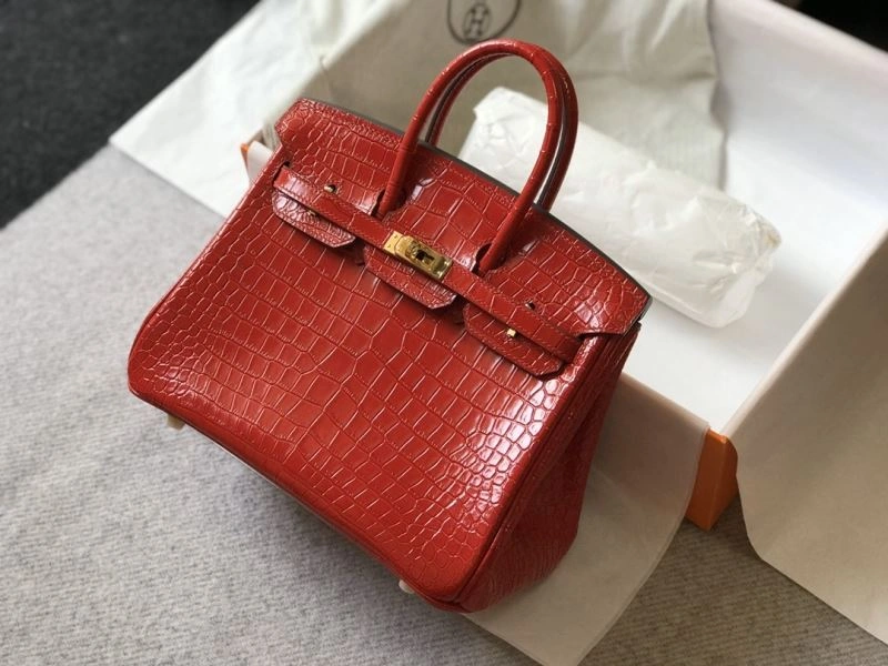 Hermes Birkin Bags Cozy 64436