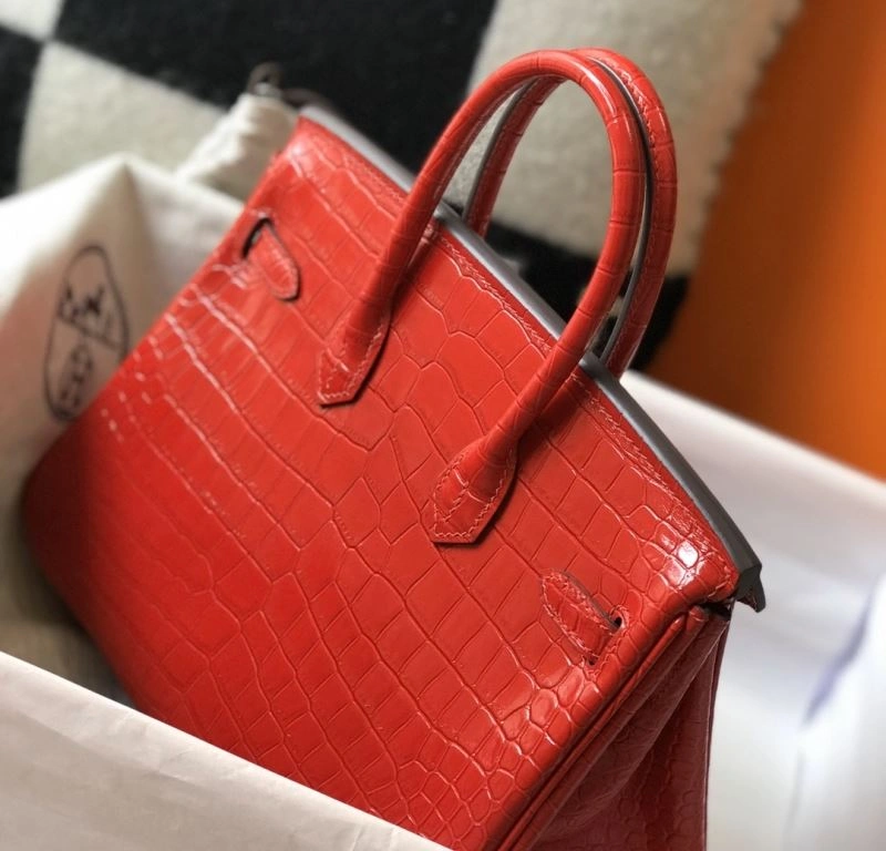 Hermes Birkin Bags Cozy 64436