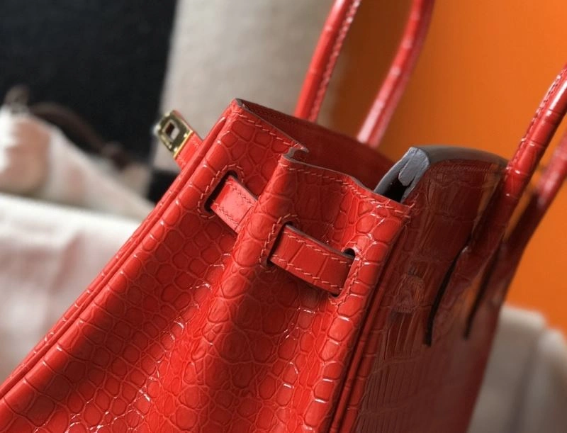 Hermes Birkin Bags Cozy 64436