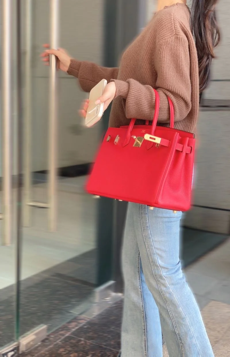 Cozy Hermes Birkin Bags 48998