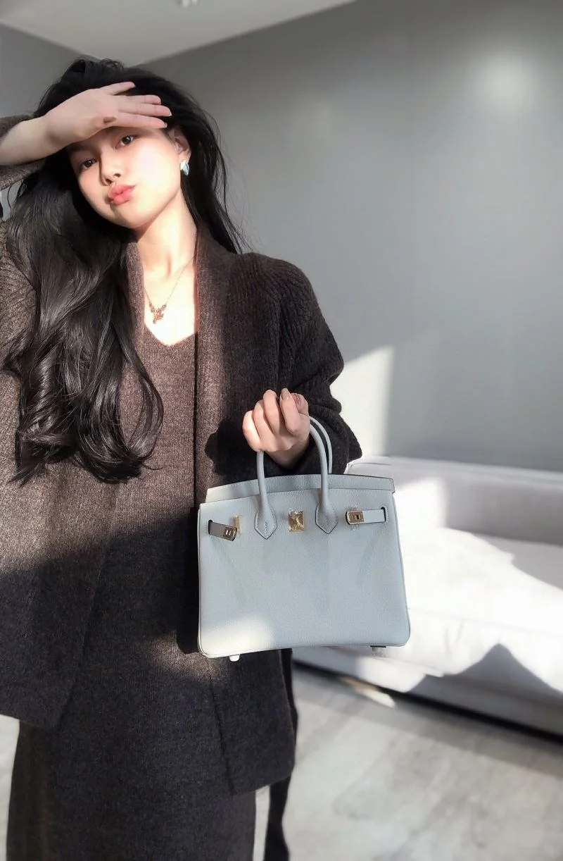 Elegant Hermes Birkin Bags 48984
