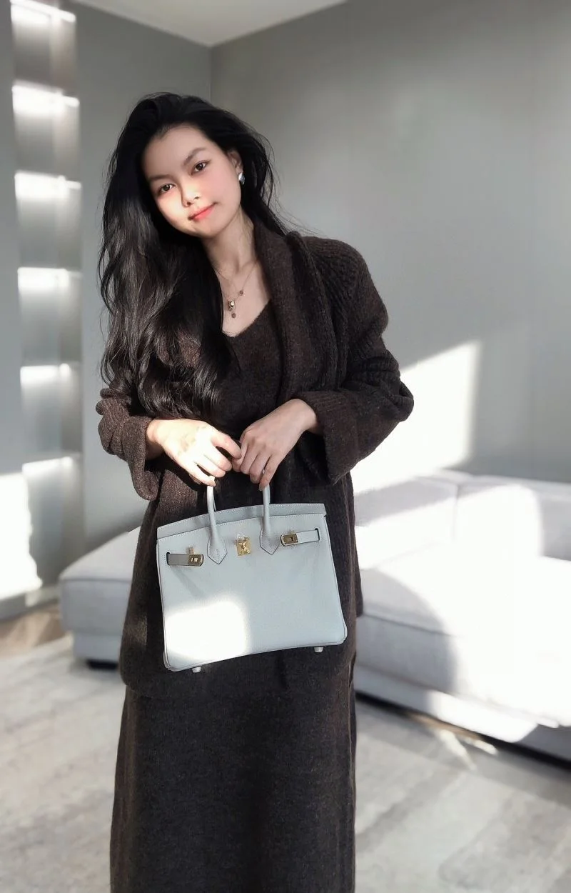 Elegant Hermes Birkin Bags 48984