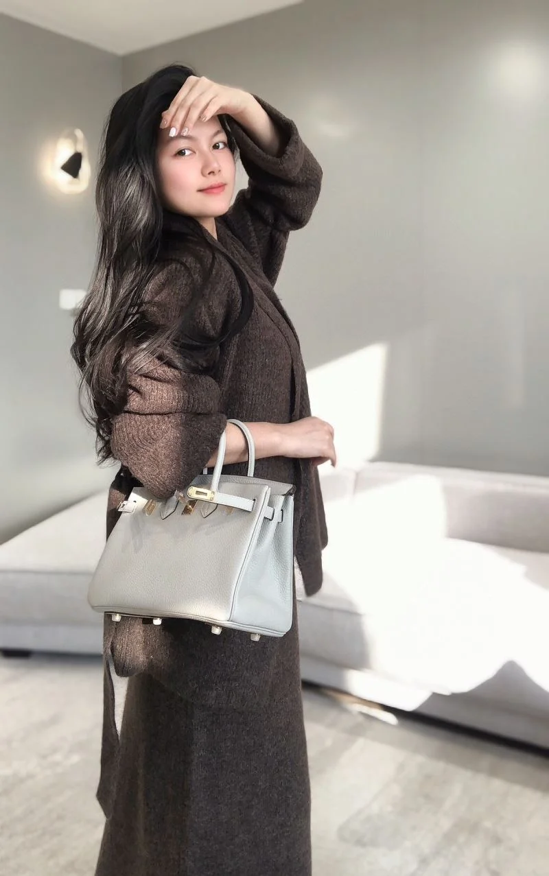 Elegant Hermes Birkin Bags 48984