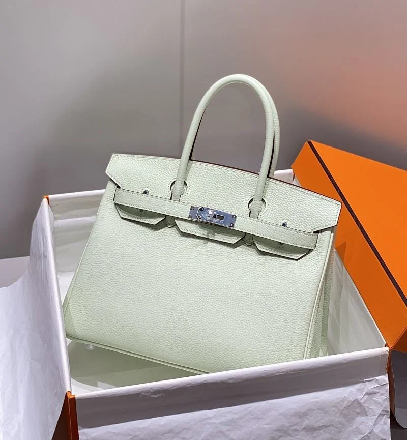 TechFriendly Hermes Birkin Bags 48982