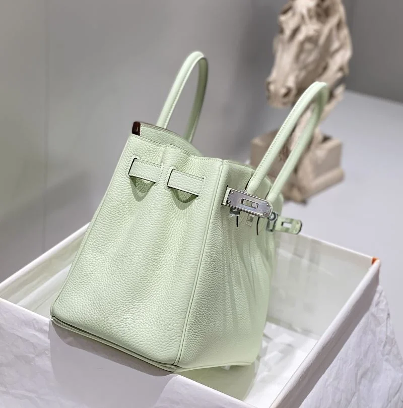 TechFriendly Hermes Birkin Bags 48982