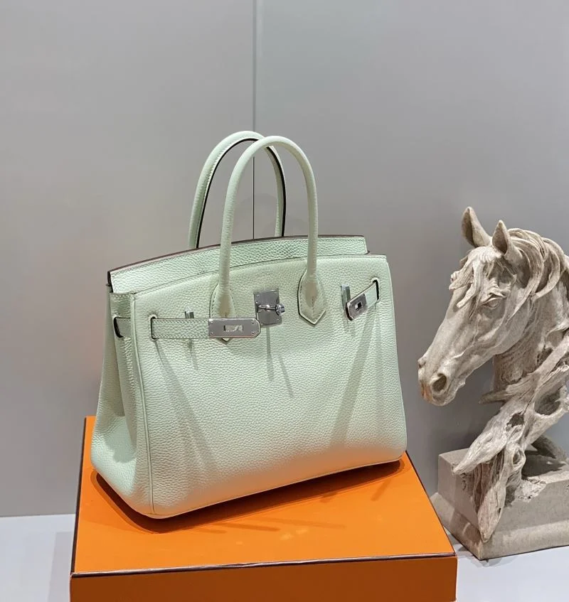 TechFriendly Hermes Birkin Bags 48982