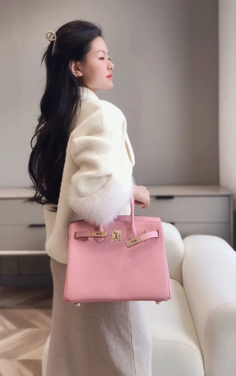 Hermes Birkin Bags Cozy 48960