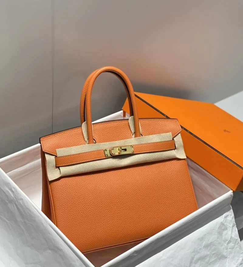 Hermes Birkin Bags Classic 49004