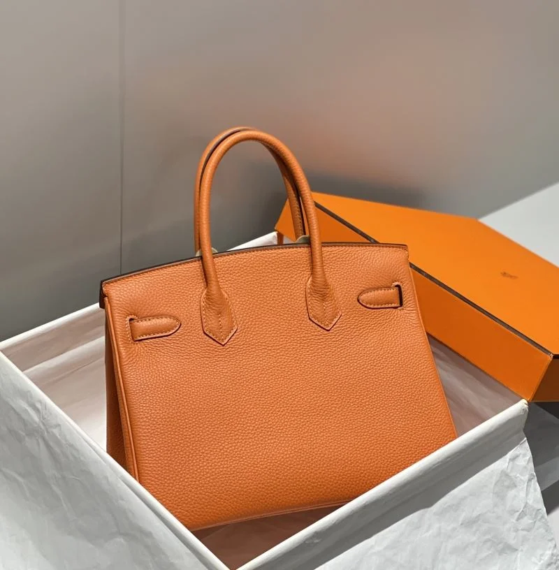 Hermes Birkin Bags Classic 49004