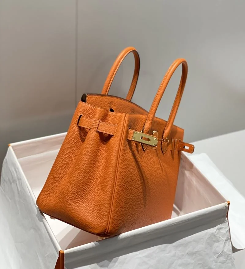 Hermes Birkin Bags Classic 49004