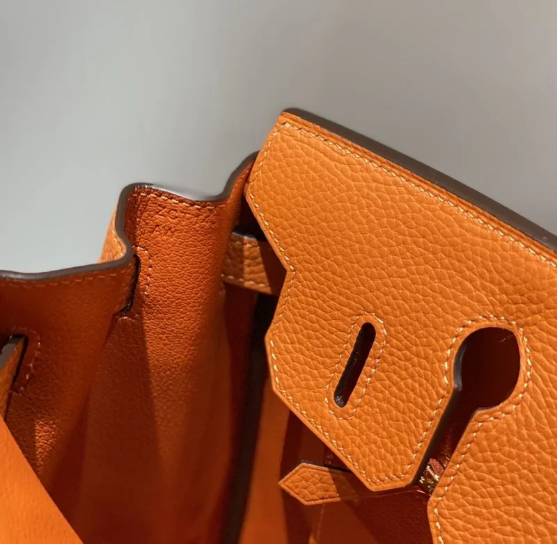 Hermes Birkin Bags Classic 49004