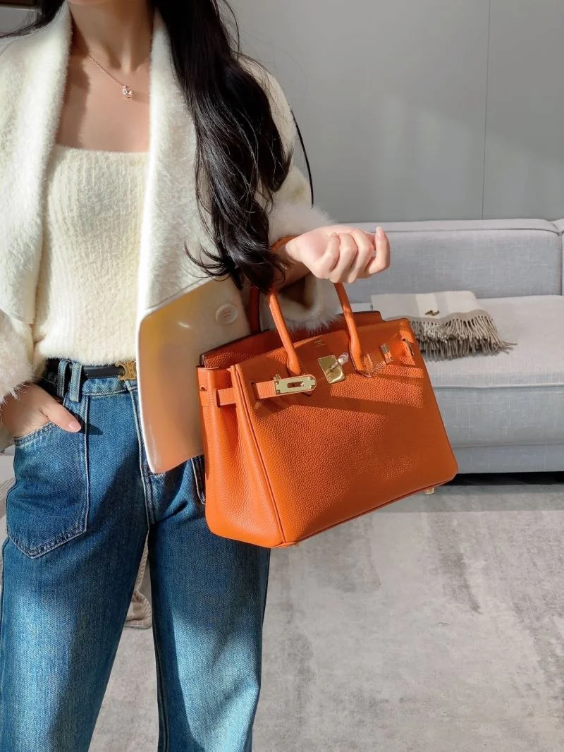 Hermes Birkin Bags Classic 49004