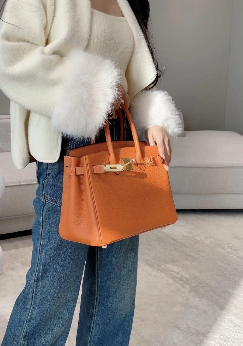Hermes Birkin Bags Classic 49004