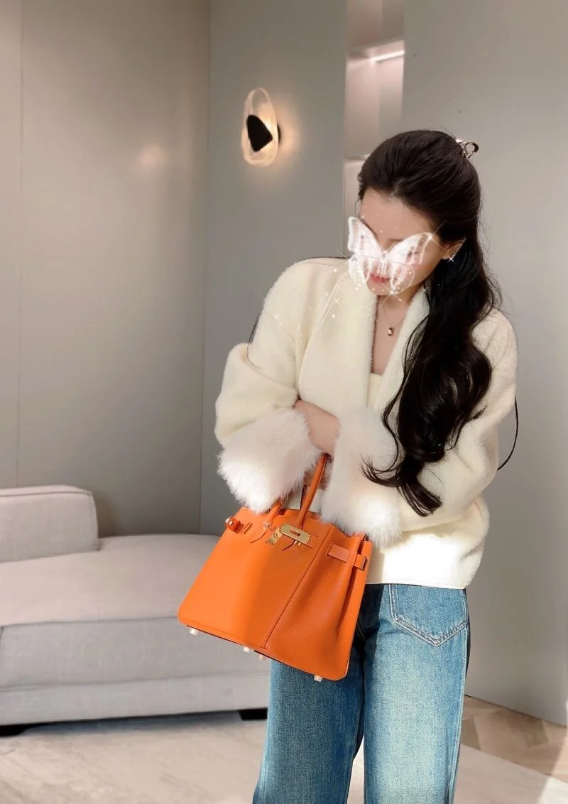 Hermes Birkin Bags Classic 49004