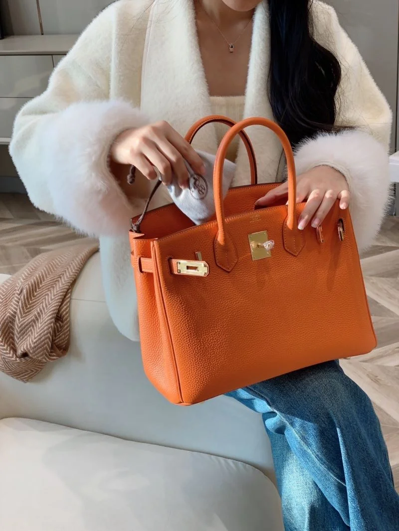 Hermes Birkin Bags Classic 49004