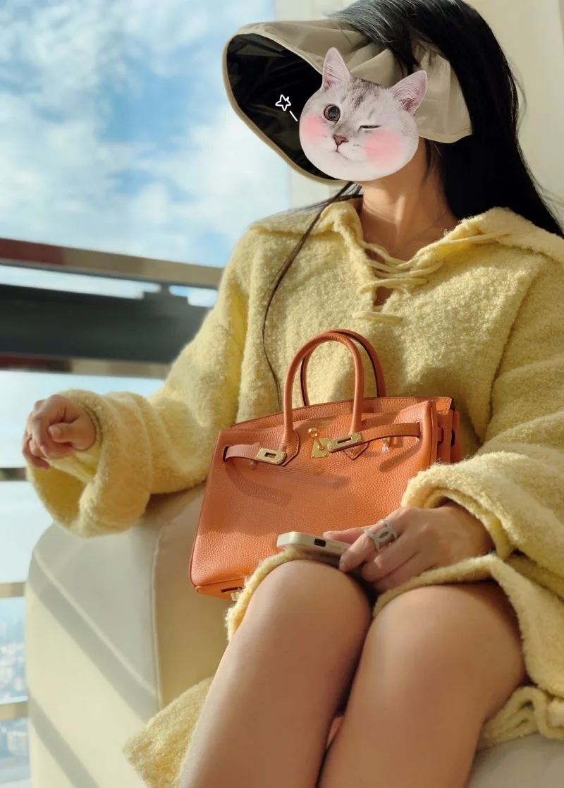 Hermes Birkin Bags Soft 48959